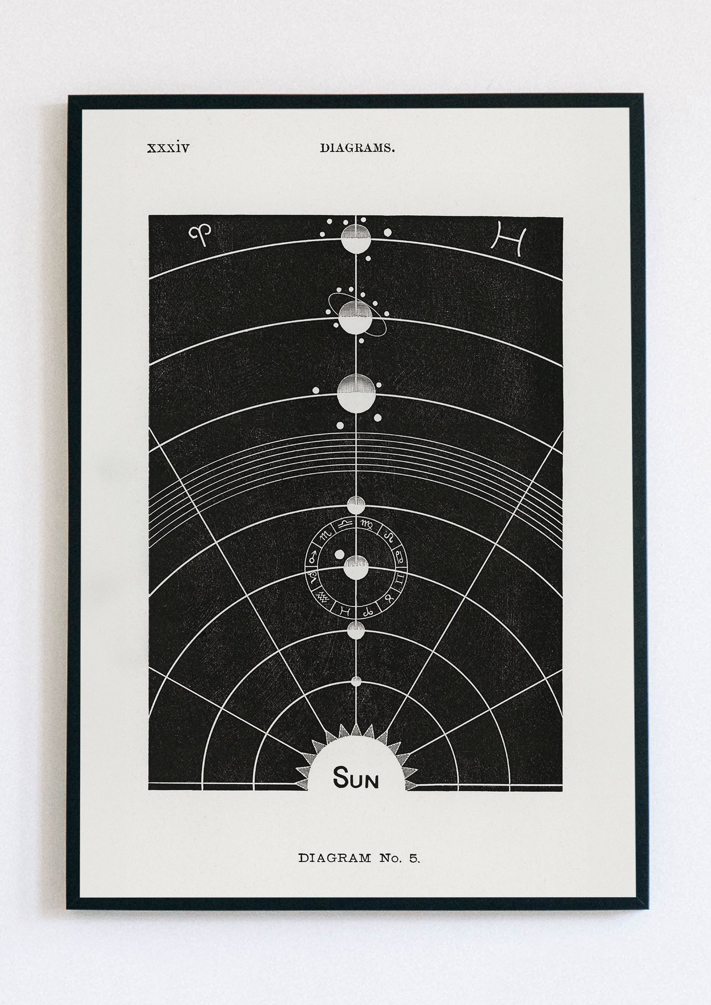 Diagram no.5 Solar Biology