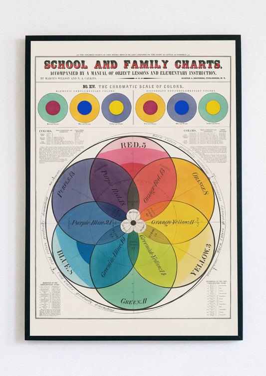 Chromatic Scale of Colors